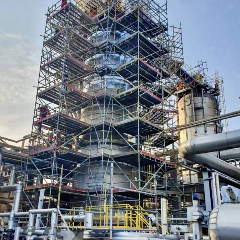 scaffolding renatl
